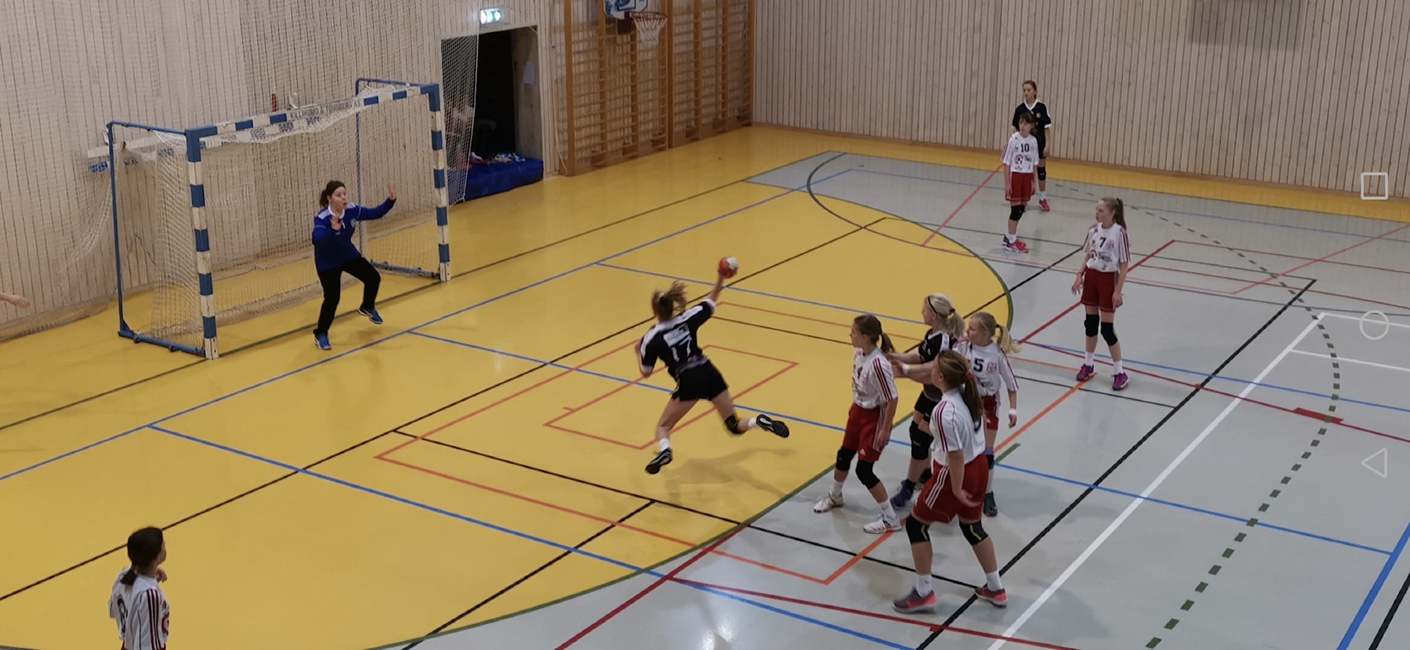 Håndballørdag i Hofhallen